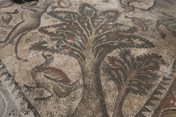 Foto - Türkiye'de bir ilk! 120 bin TL'ye aldığı arsada paha biçilemez bir eser buldu