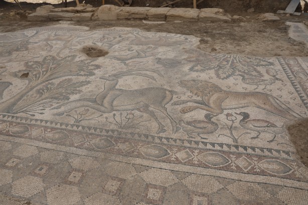 Foto - Türkiye'de bir ilk! 120 bin TL'ye aldığı arsada paha biçilemez bir eser buldu