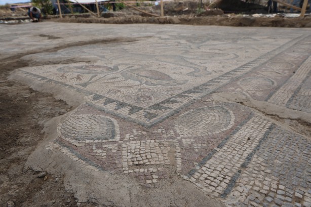Foto - Türkiye'de bir ilk! 120 bin TL'ye aldığı arsada paha biçilemez bir eser buldu