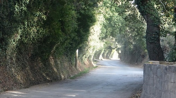Foto - Türkiye'de bir örneği daha yok! Şaka değil gerçek bu yaylaya çıkılmıyor, iniliyor