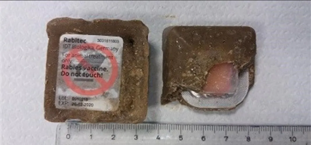 Foto - Türkiye'de bu bölgelere havadan kuduz aşısı atılacak! Endişelenecek bir konu var...