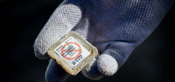 Foto - Türkiye'de bu bölgelere havadan kuduz aşısı atılacak! Endişelenecek bir konu var...