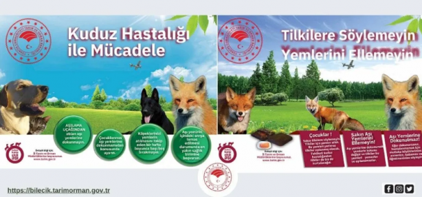 Foto - Türkiye'de bu bölgelere havadan kuduz aşısı atılacak! Endişelenecek bir konu var...