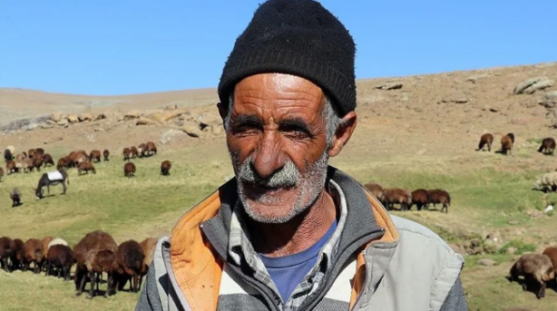 Foto - Türkiye'de bu işi yapacak 150 bin kişi aranıyor! Bakanlıklar devreye girdi