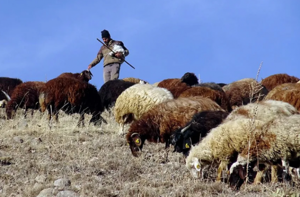 Foto - Türkiye'de bu işi yapacak 150 bin kişi aranıyor! Bakanlıklar devreye girdi