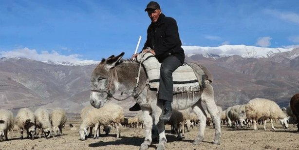 Türkiye'de bu işi yapacak 150 bin kişi aranıyor! Bakanlıklar devreye girdi