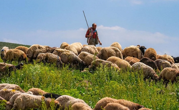 Foto - Türkiye'de bu işi yapacak 150 bin kişi aranıyor! Bakanlıklar devreye girdi