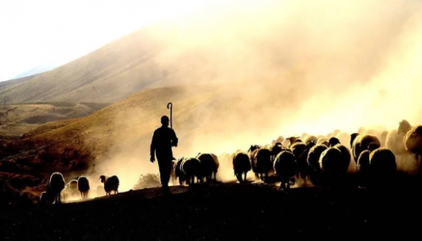 Foto - Türkiye'de bu işi yapacak 150 bin kişi aranıyor! Bakanlıklar devreye girdi