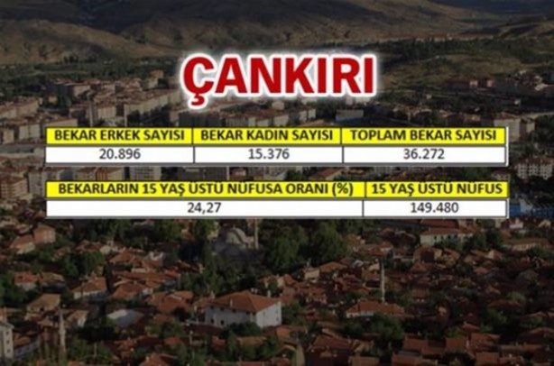 Foto - Türkiye'de en çok bekar bu illerde!