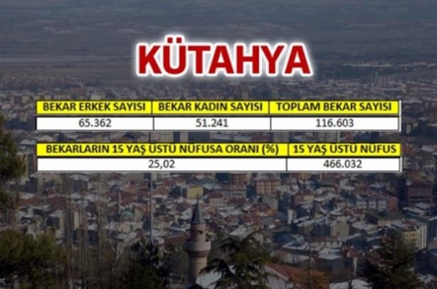 Foto - Türkiye'de en çok bekar bu illerde!