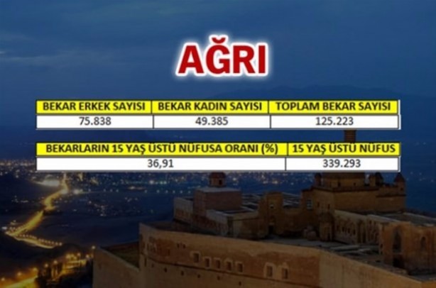 Foto - Türkiye'de en çok bekar bu illerde!