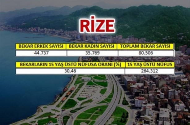 Foto - Türkiye'de en çok bekar bu illerde!