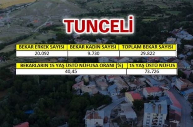 Foto - Türkiye'de en çok bekar bu illerde!