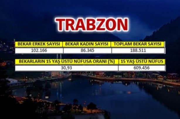 Foto - Türkiye'de en çok bekar bu illerde!