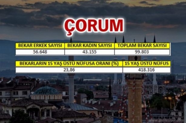 Foto - Türkiye'de en çok bekar bu illerde!