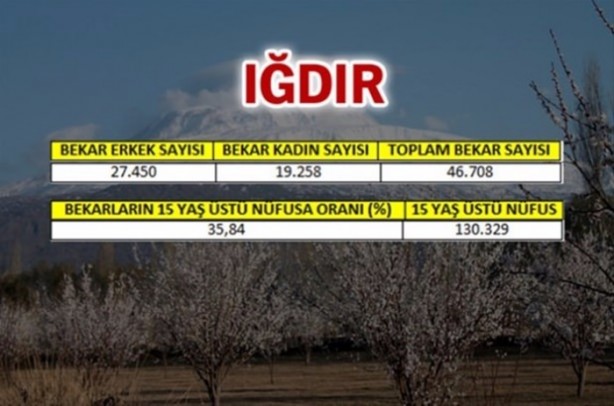 Foto - Türkiye'de en çok bekar bu illerde!