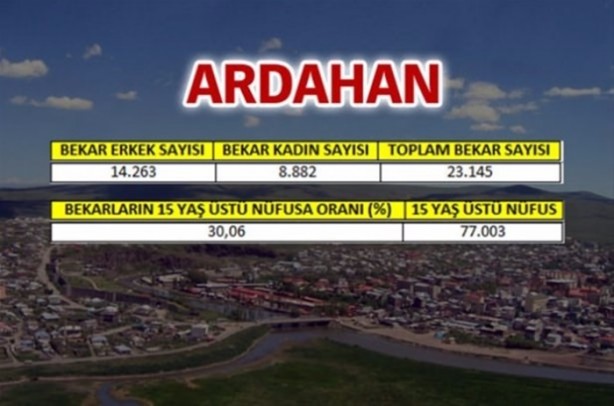 Foto - Türkiye'de en çok bekar bu illerde!