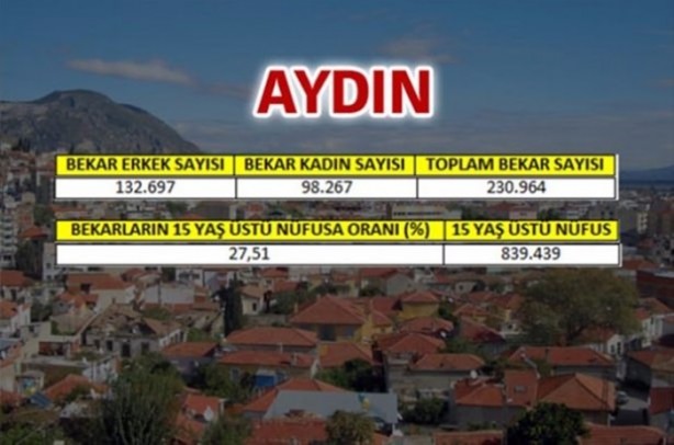 Foto - Türkiye'de en çok bekar bu illerde!