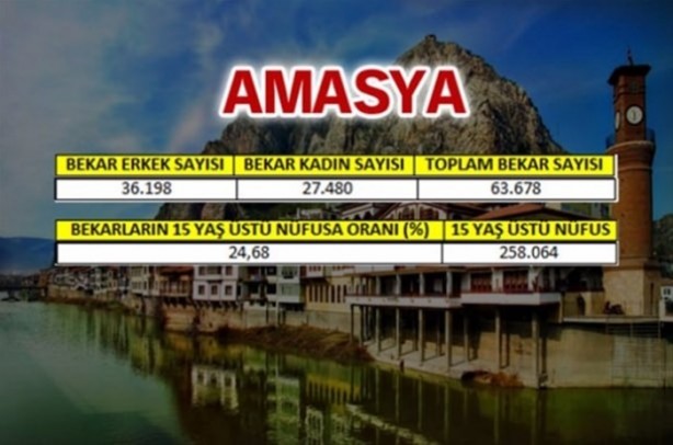 Foto - Türkiye'de en çok bekar bu illerde!