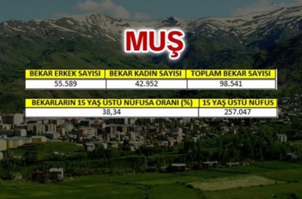 Foto - Türkiye'de en çok bekar bu illerde!