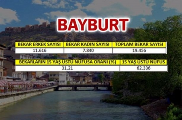 Foto - Türkiye'de en çok bekar bu illerde!