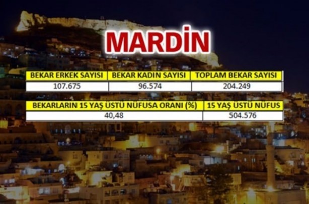 Foto - Türkiye'de en çok bekar bu illerde!