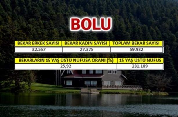 Foto - Türkiye'de en çok bekar bu illerde!