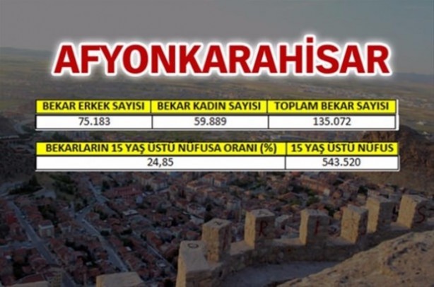 Foto - Türkiye'de en çok bekar bu illerde!