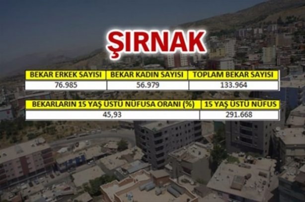 Foto - Türkiye'de en çok bekar bu illerde!