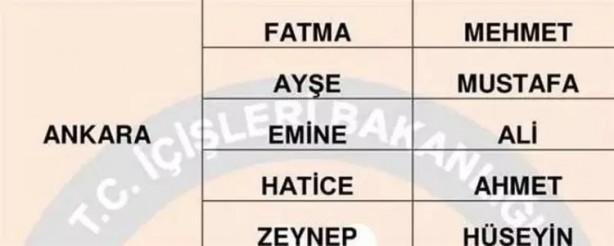 Foto - Türkiye'de en çok hangi isimler kullanılıyor? İl il en popüler kadın erkek isimleri