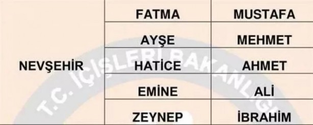 Foto - Türkiye'de en çok hangi isimler kullanılıyor? İl il en popüler kadın erkek isimleri