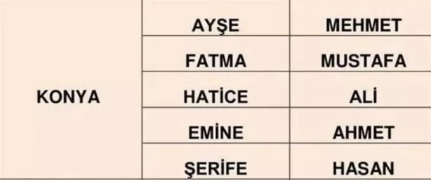 Foto - Türkiye'de en çok hangi isimler kullanılıyor? İl il en popüler kadın erkek isimleri