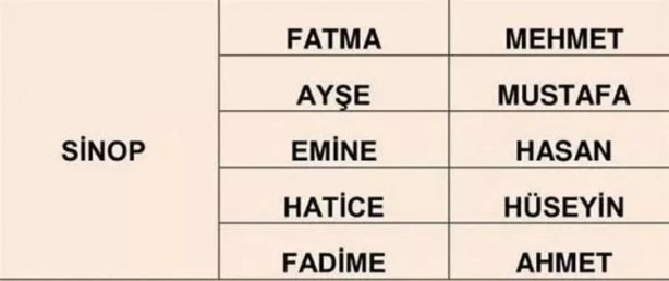 Foto - Türkiye'de en çok hangi isimler kullanılıyor? İl il en popüler kadın erkek isimleri