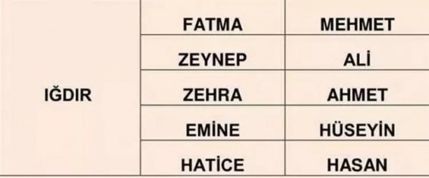 Foto - Türkiye'de en çok hangi isimler kullanılıyor? İl il en popüler kadın erkek isimleri