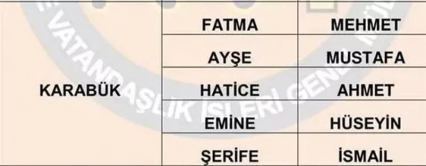 Foto - Türkiye'de en çok hangi isimler kullanılıyor? İl il en popüler kadın erkek isimleri