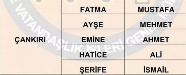 Foto - Türkiye'de en çok hangi isimler kullanılıyor? İl il en popüler kadın erkek isimleri