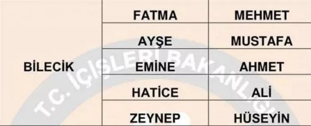 Foto - Türkiye'de en çok hangi isimler kullanılıyor? İl il en popüler kadın erkek isimleri