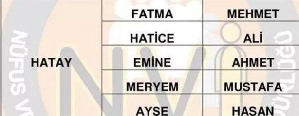 Foto - Türkiye'de en çok hangi isimler kullanılıyor? İl il en popüler kadın erkek isimleri