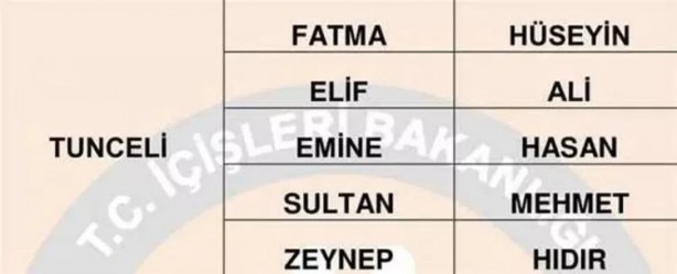 Foto - Türkiye'de en çok hangi isimler kullanılıyor? İl il en popüler kadın erkek isimleri