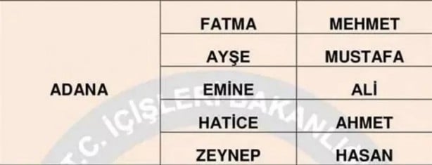 Foto - Türkiye'de en çok hangi isimler kullanılıyor? İl il en popüler kadın erkek isimleri