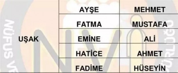 Foto - Türkiye'de en çok hangi isimler kullanılıyor? İl il en popüler kadın erkek isimleri