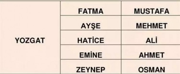 Foto - Türkiye'de en çok hangi isimler kullanılıyor? İl il en popüler kadın erkek isimleri