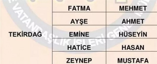 Foto - Türkiye'de en çok hangi isimler kullanılıyor? İl il en popüler kadın erkek isimleri