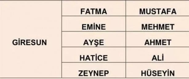 Foto - Türkiye'de en çok hangi isimler kullanılıyor? İl il en popüler kadın erkek isimleri