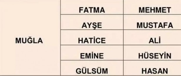 Foto - Türkiye'de en çok hangi isimler kullanılıyor? İl il en popüler kadın erkek isimleri