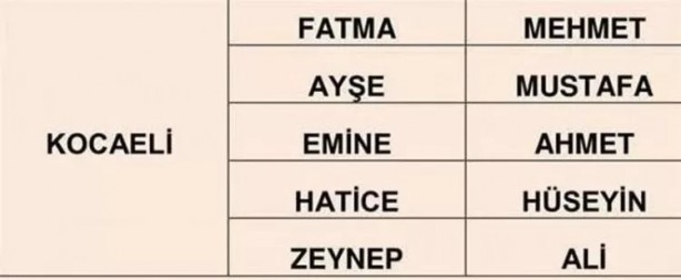 Foto - Türkiye'de en çok hangi isimler kullanılıyor? İl il en popüler kadın erkek isimleri