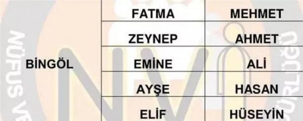 Foto - Türkiye'de en çok hangi isimler kullanılıyor? İl il en popüler kadın erkek isimleri