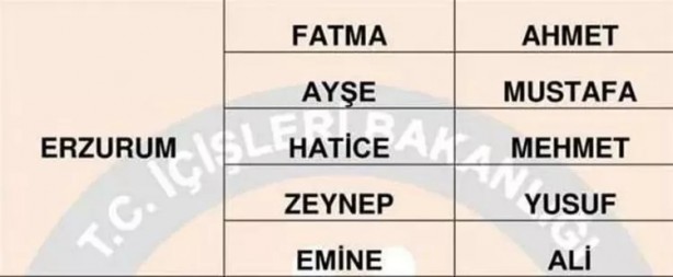 Foto - Türkiye'de en çok hangi isimler kullanılıyor? İl il en popüler kadın erkek isimleri