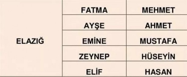 Foto - Türkiye'de en çok hangi isimler kullanılıyor? İl il en popüler kadın erkek isimleri