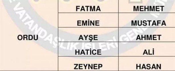 Foto - Türkiye'de en çok hangi isimler kullanılıyor? İl il en popüler kadın erkek isimleri